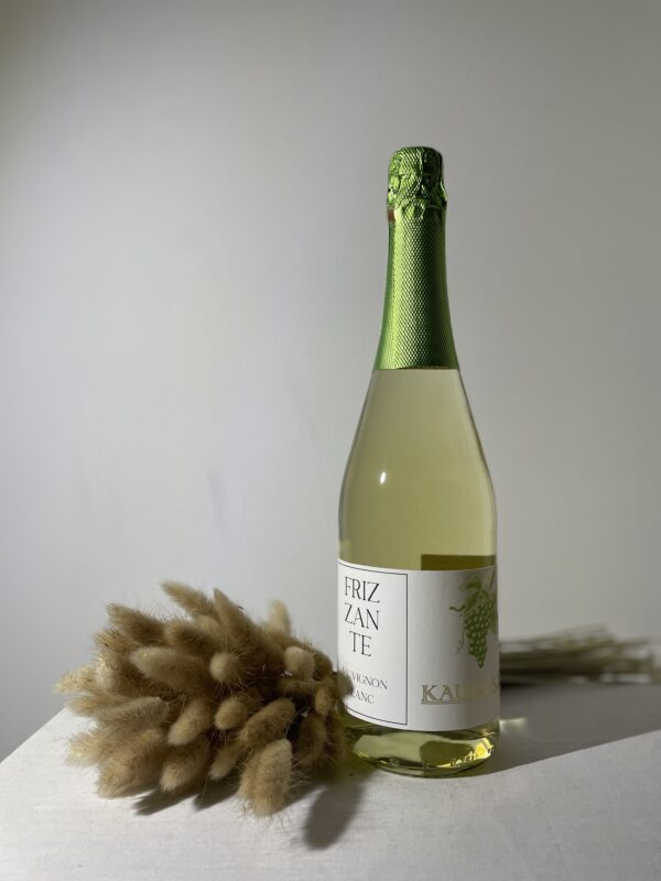 Frizzante Sauvignon Blanc 2023