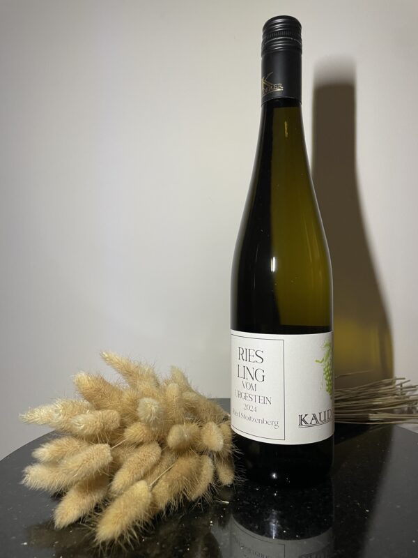Riesling vom Urgestein 2024 - Ried Stoitzenberg